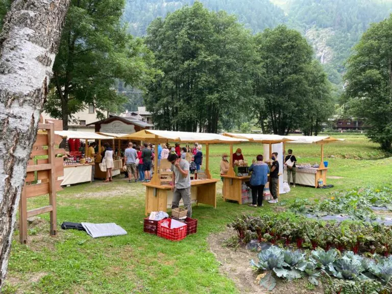 rial di foto 768x576