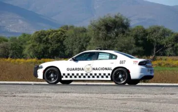 messico molestie diretta tv sheinbaum