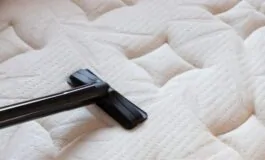 Acari della polvere: che cosa sono e come allontanarli naturalmente