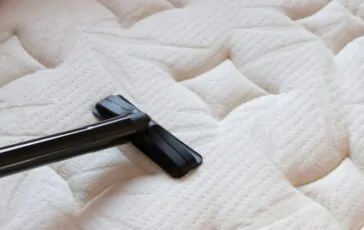 Acari della polvere: che cosa sono e come allontanarli naturalmente