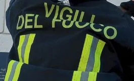 image f393e125 5d66 4967 b141 816d10e75271 265x160