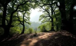 sparizioni misteriose e indagini nel parco nazionale 1763504810 265x160