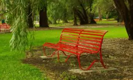 La cultura che prepara il delitto: segnali ignorati e silenzi che pesano