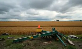 brembio rinvio delludienza sul caso di pierpaolo bodini 1764801483 265x160