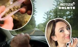 brightcove poster 3223918 265x160