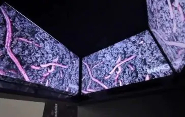 featured 3109162 364x230