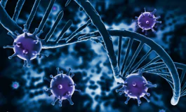 featured 3109243 265x160