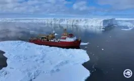 featured 3112708 265x160