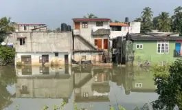 featured 3117738 265x160