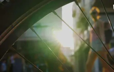 featured 3119698 364x230