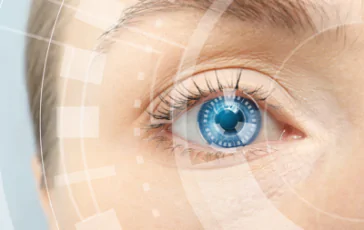 featured 3119882 364x230