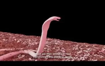 featured 3120217 364x230