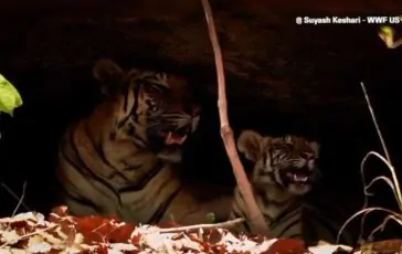 featured 3120281 364x230