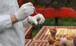 featured 3124140 265x160