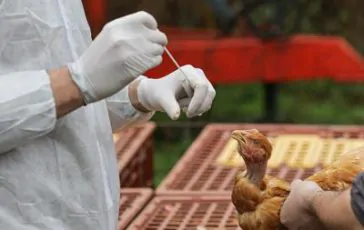 featured 3124140 364x230