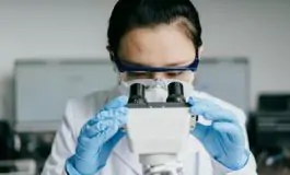 featured 3125017 265x160