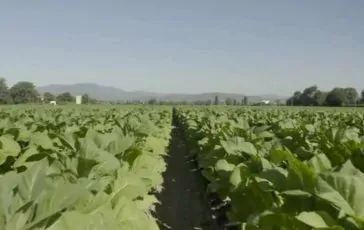 featured 3126141 364x230