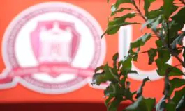 featured 3126432 265x160