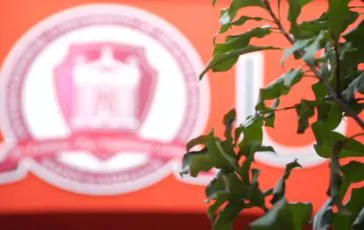 featured 3126432 364x230