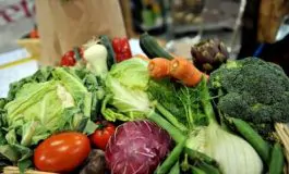 featured 3126849 265x160