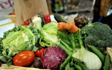 featured 3126849 364x230