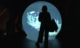 featured 3128356 265x160