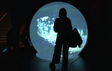 featured 3128356 364x230