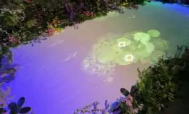 featured 3128565 265x160