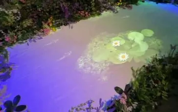 featured 3128565 364x230