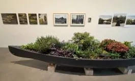 featured 3128693 265x160