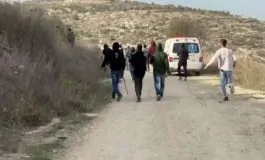 featured 3129657 265x160