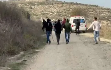 featured 3129657 364x230