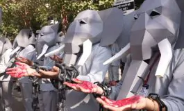 featured 3146536 265x160