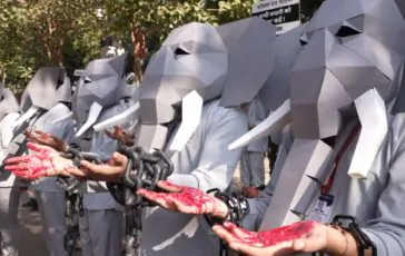 featured 3146536 364x230