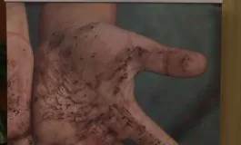 featured 3147431 265x160