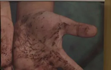 featured 3147431 364x230