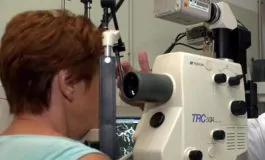 featured 3147643 265x160