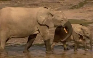 featured 3148099 364x230