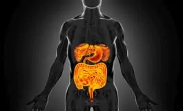 featured 3155677 265x160