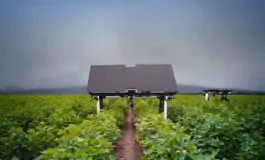 featured 3167602 265x160