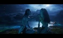 featured 3167915 265x160