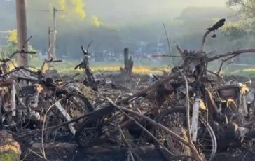 featured 3173054 364x230