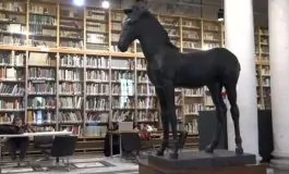 featured 3174076 265x160