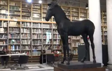 featured 3174076 364x230