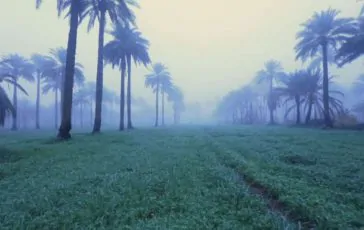 featured 3174161 364x230