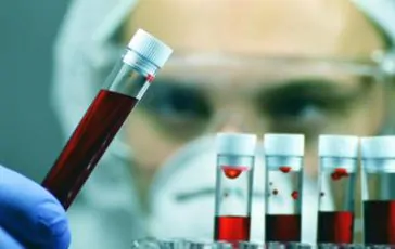 featured 3175327 364x230