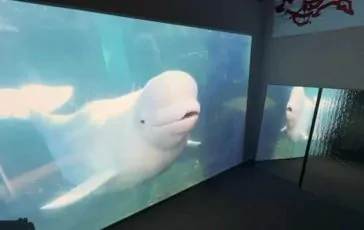 featured 3181192 364x230