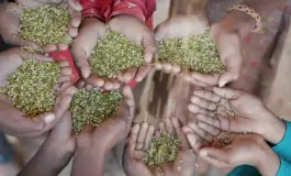 featured 3181363 265x160