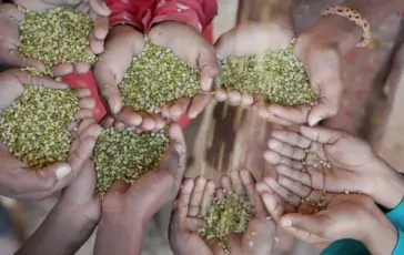 featured 3181363 364x230