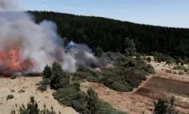 featured 3181573 265x160